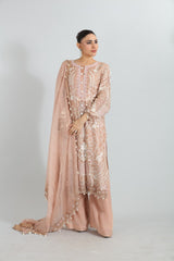 Areesha — Embroidered Organza Set