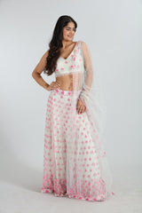 Aaral Hand-Embroidered Net Lehenga Set