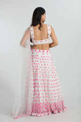 Aaral Hand-Embroidered Net Lehenga Set
