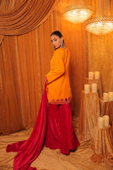 Velvet mirror work sharara set