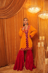 Velvet mirror work sharara set