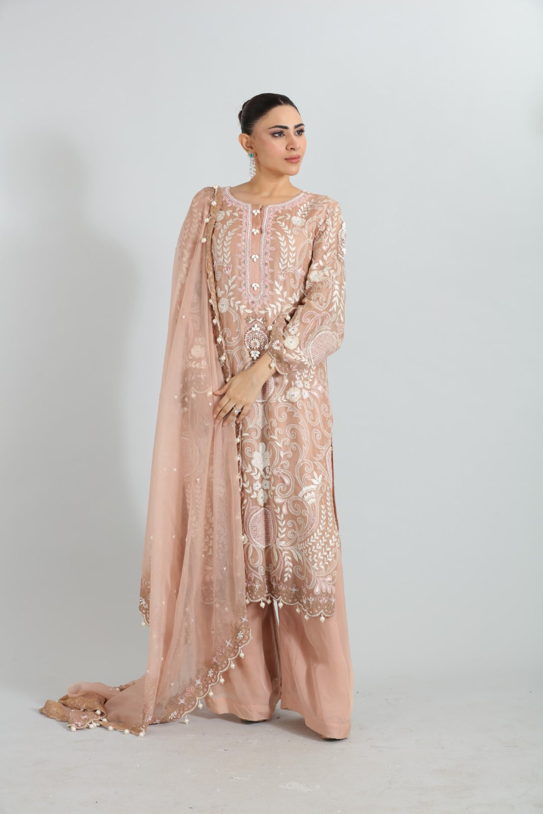 Areesha — Embroidered Organza Set