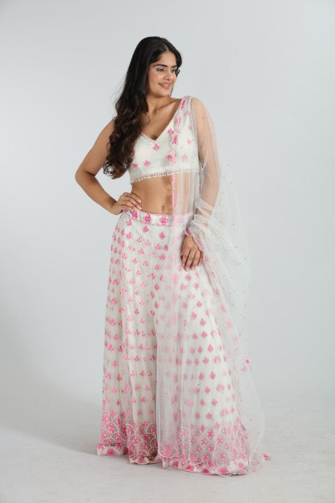 Aaral  Hand-Embroidered Net Lehenga Set