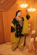 Hand embroidered velvet kurta with farshi salwar