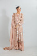 Blush Pink Embroidered Organza Kurta Set
