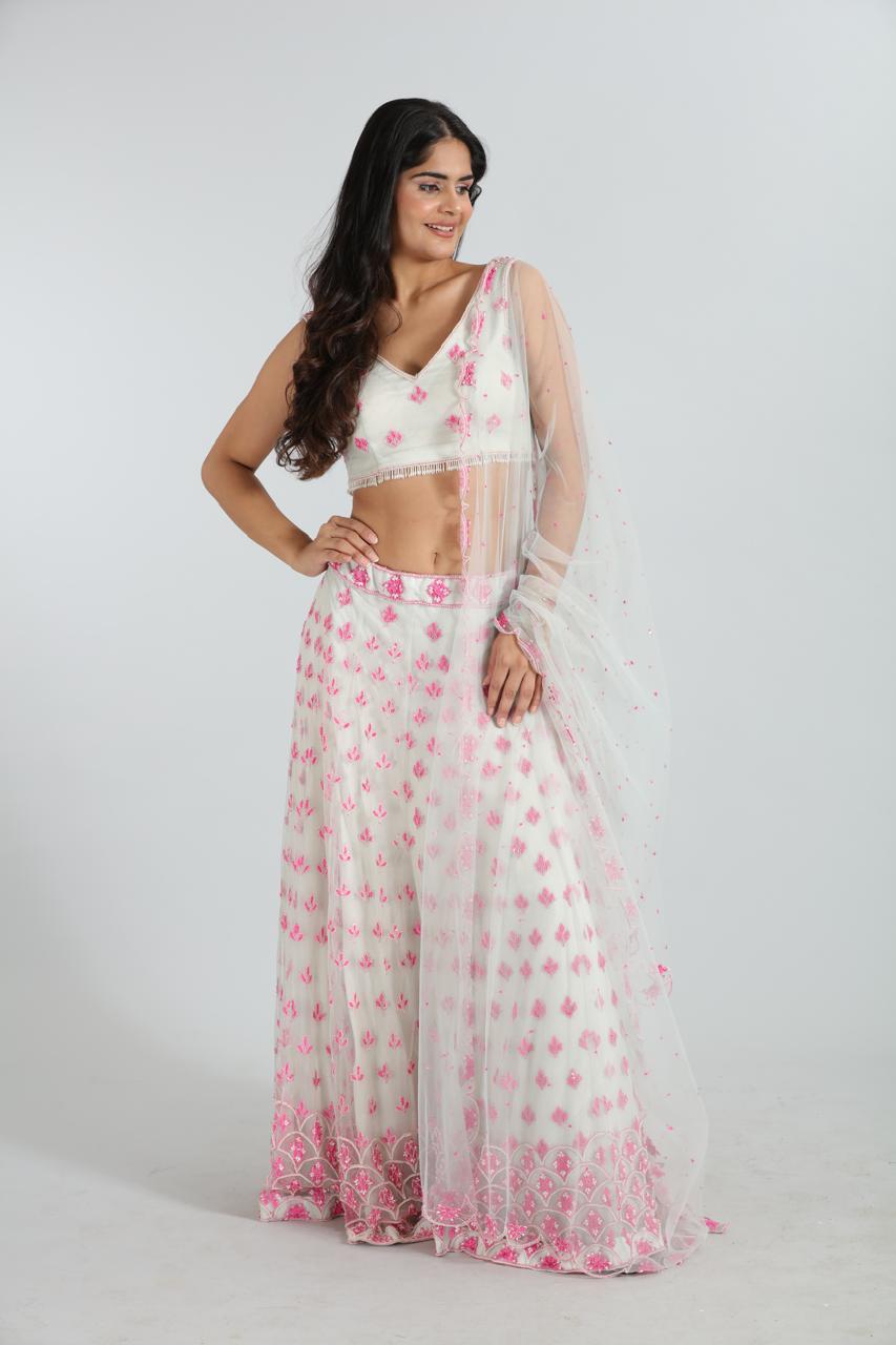 Aaral  Hand-Embroidered Net Lehenga Set