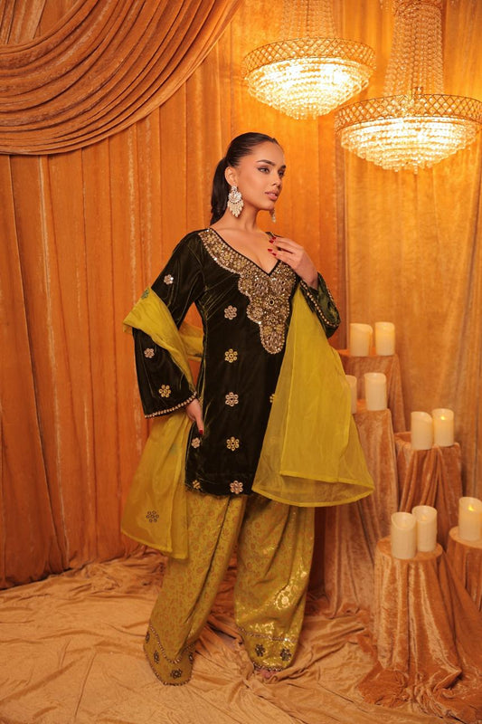 Hand embroidered velvet kurta with farshi salwar
