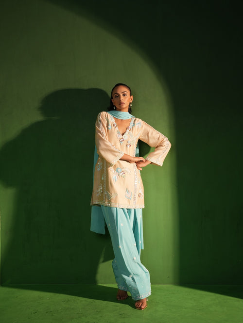 Beige and Powder Blue Hand Embroidered Salwar Set