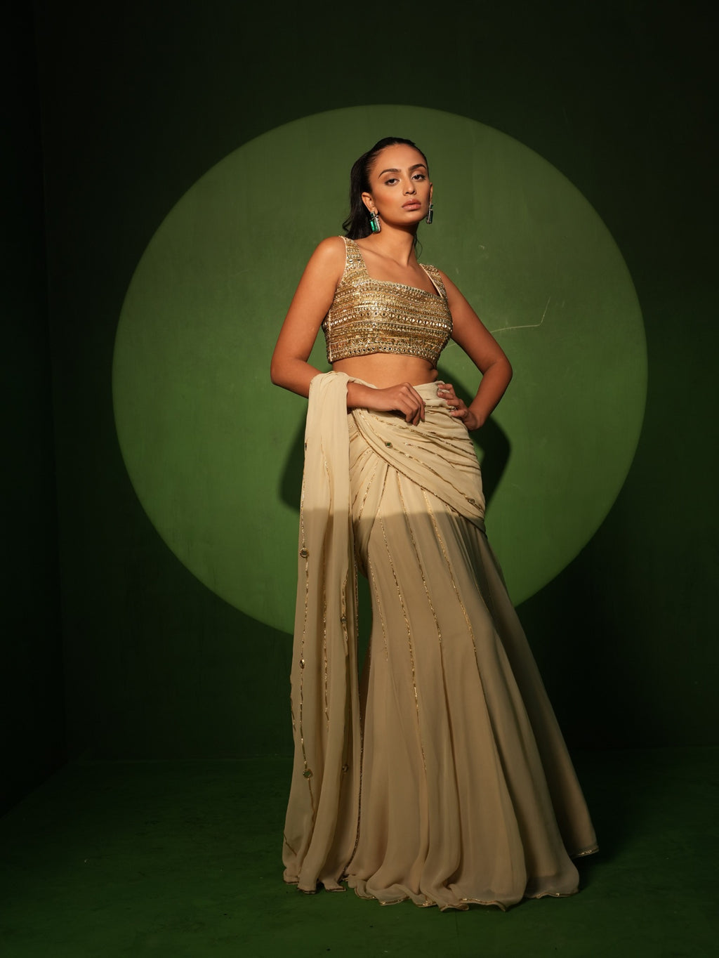 Ivory Georgette Hand Embroidered Saree front look