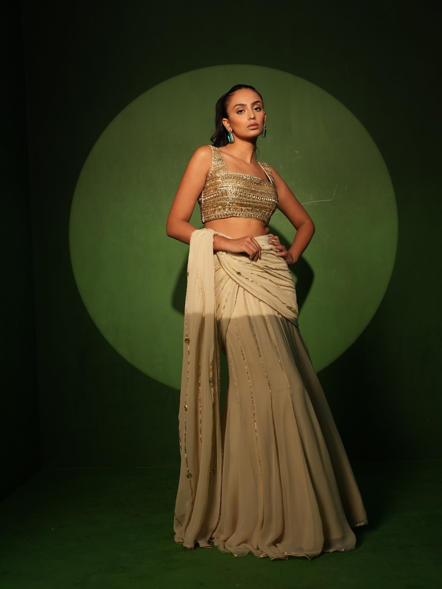 Ivory Georgette Hand Embroidered Saree front look