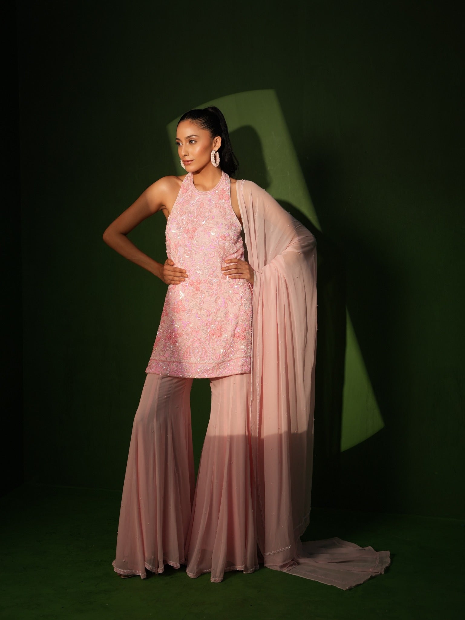 Powder Pink Georgette Hand Embroidered Sharara Set full look